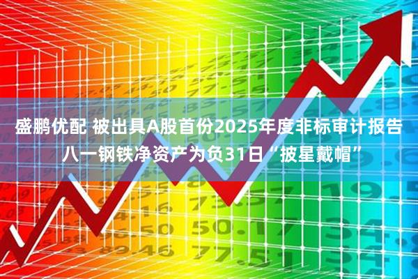盛鹏优配 被出具A股首份2025年度非标审计报告 八一钢铁净资产为负31日“披星戴帽”