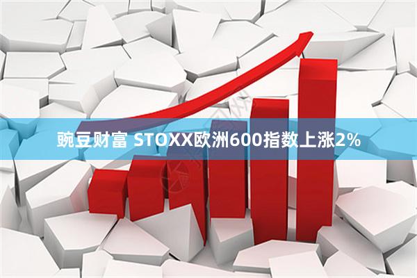 豌豆财富 STOXX欧洲600指数上涨2%